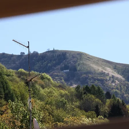 Le Magnolie Couette-café Faggeto Lario