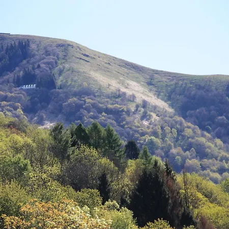 Le Magnolie Nocleg ze śniadaniem 4*